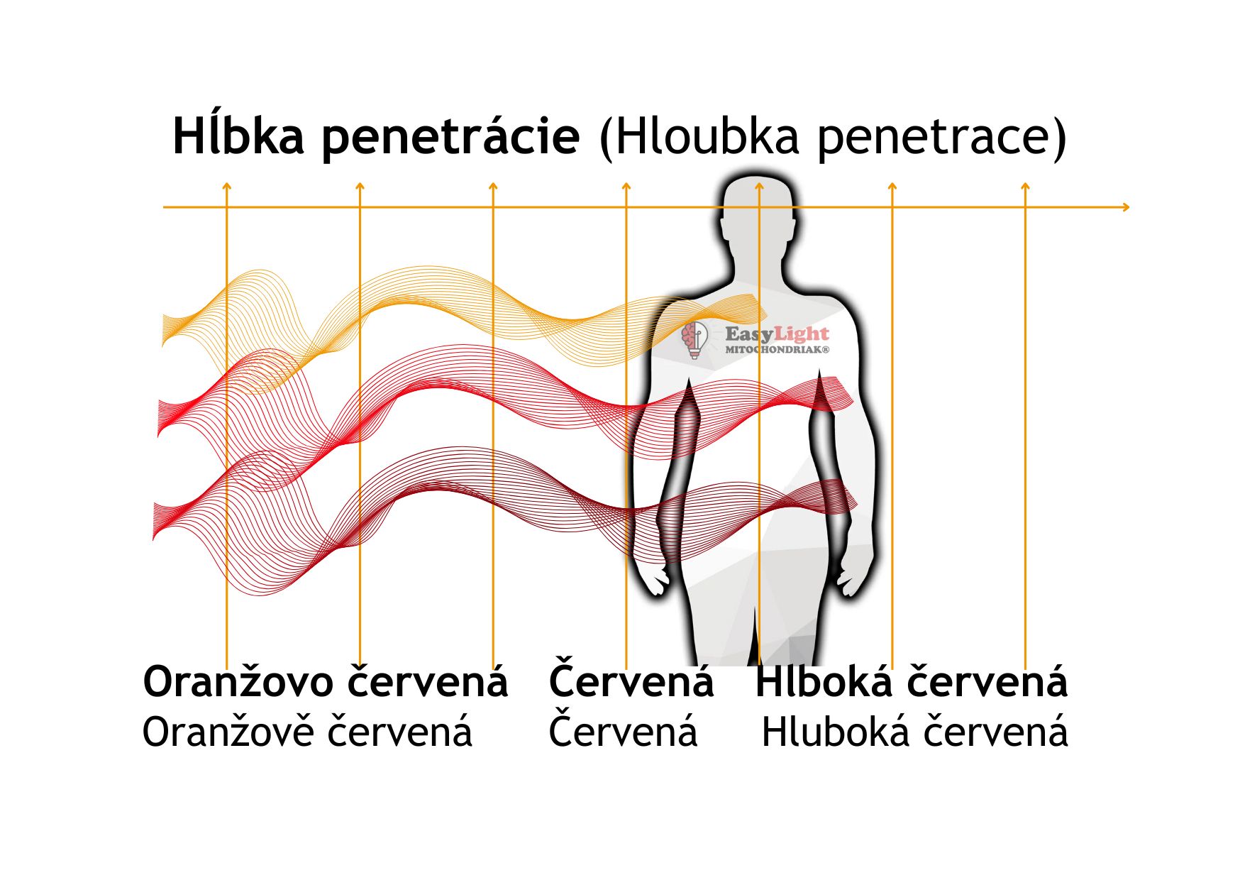 Mitochondriak® light therapy